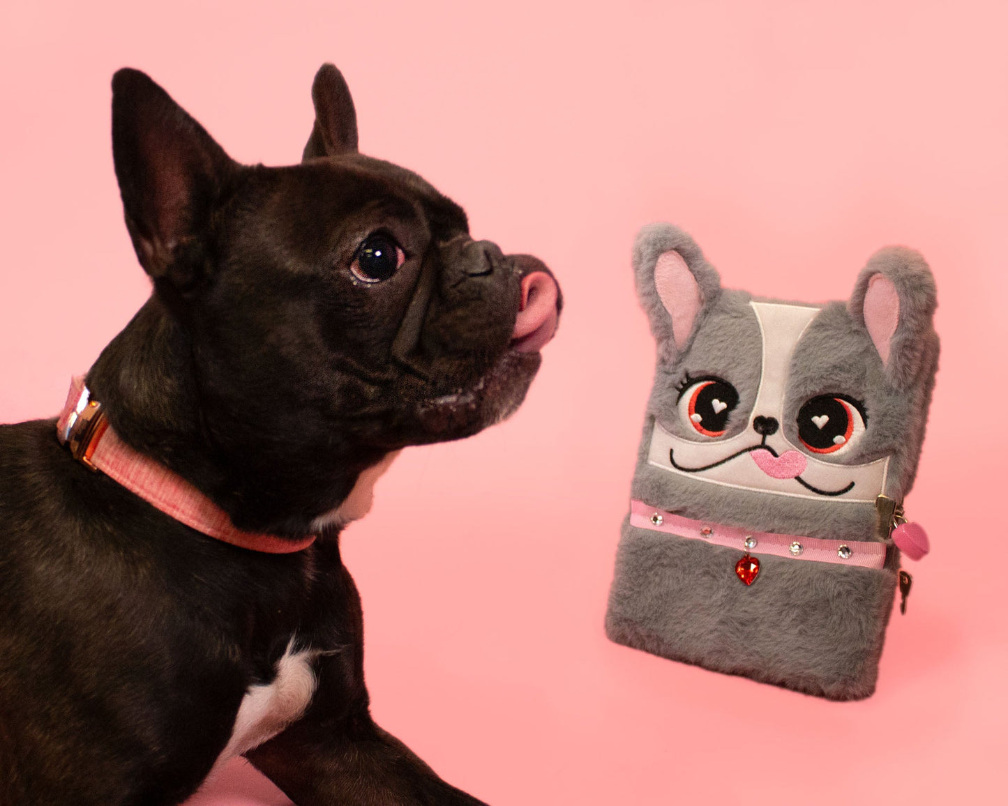 Furry Diary - Frenchie