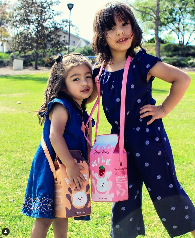 Chocolate Milk Handbag