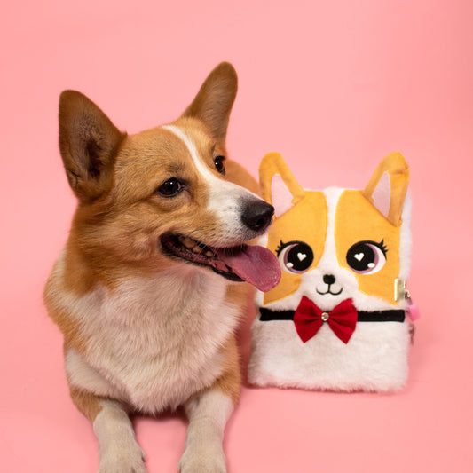 Furry Diary - Corgi