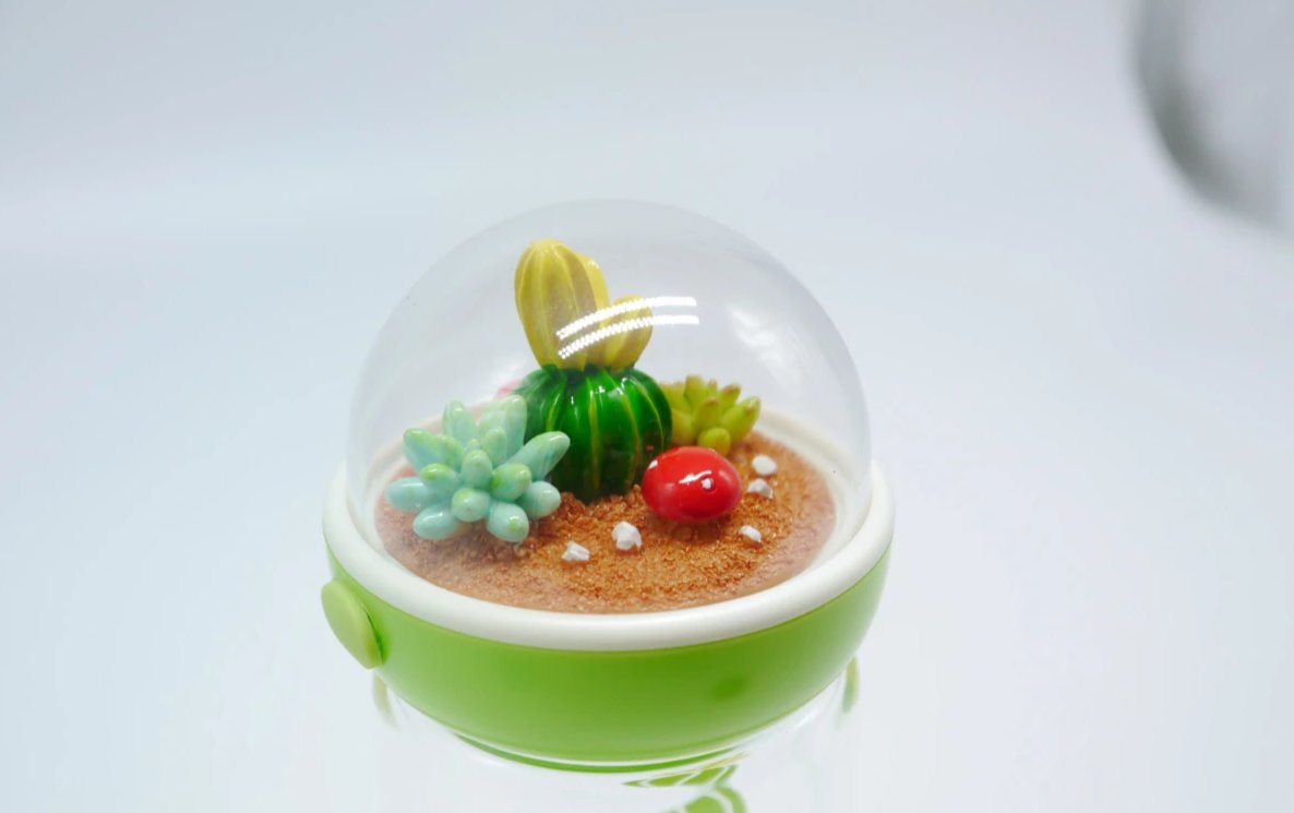 Cactus Glass Water Bottle - Green - Bewaltz
